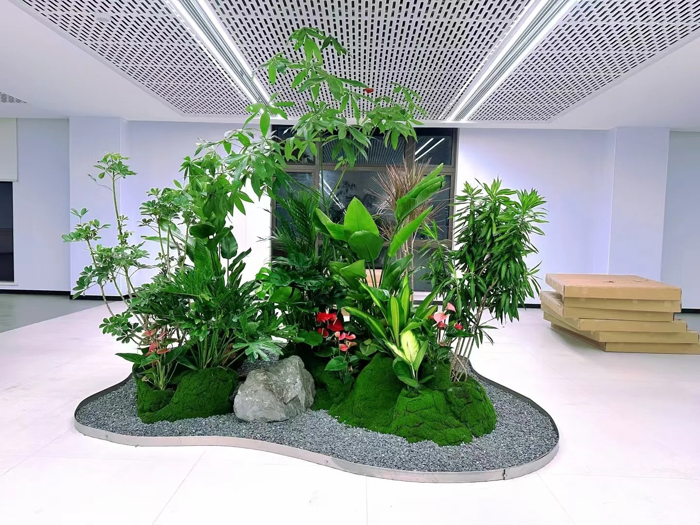 了解余姚花卉出租价格，开启省钱之道！